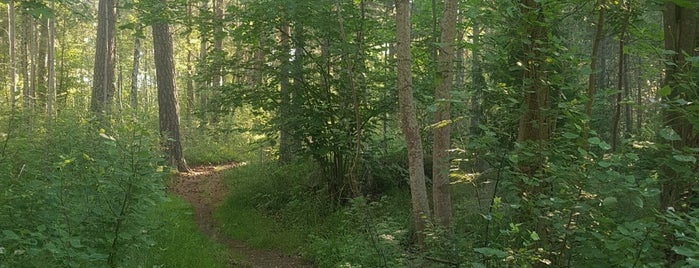 Stadsskogen is one of uppsala.