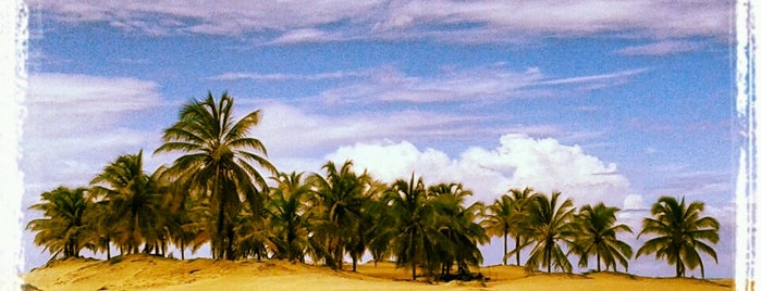 Rio São Francisco is one of Locais curtidos por Alexandre.