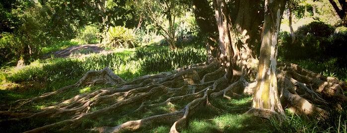 Sítio Roberto Burle Marx is one of p h o t o.