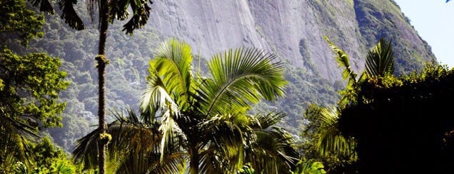 Jardim Botânico do Rio de Janeiro is one of Rio de Janeiro Tour.