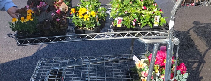 The Flower Station featuring FS Property Services is one of stores.