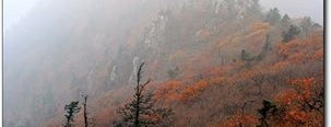 Seoraksan National Park is one of Gangwon-do 강원도.