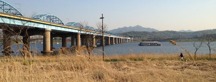 Dongjak Bridge is one of to-do list: Korea April '18.