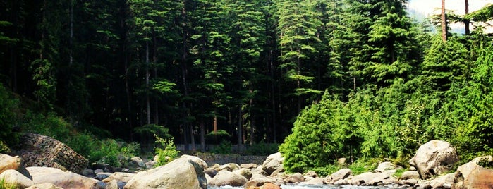 Old Manali is one of Himalayan Journeys.