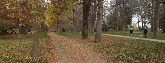 Cheesman Park is one of Fun Things To Do in Denver, Colorado.