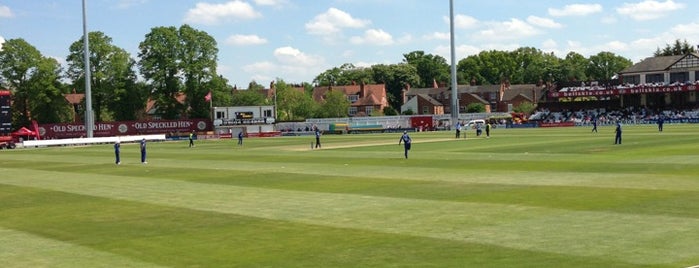The County Cricket Ground is one of Best & Famous Cricket Stadiums Around The World.