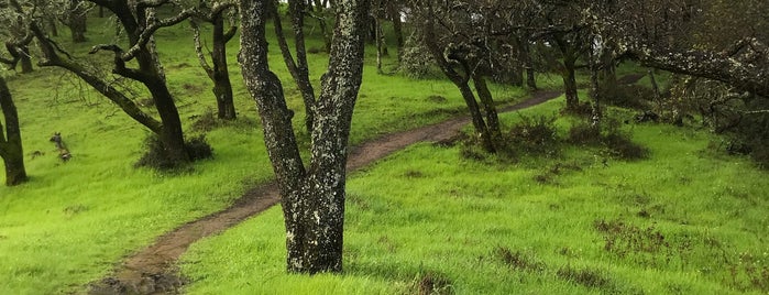 Rancho Cañada Del Oro OSP is one of Hiking in South County.