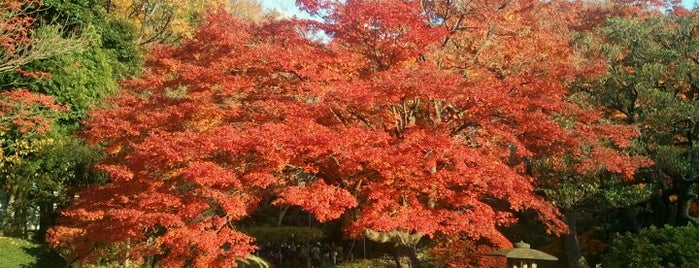 Rikugien Gardens is one of Japan/Tokyo.