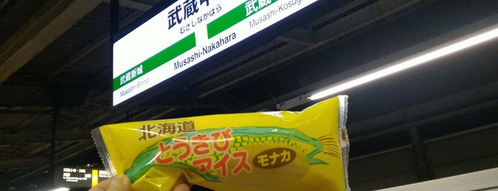 Musashi-Nakahara Station is one of JR すていしょん.