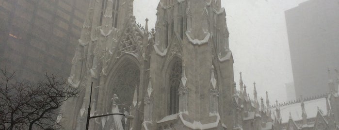 Cathédrale Saint-Patrick is one of Nova Iorque - Estados Unidos.