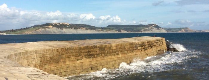 The Cobb is one of England 1991.