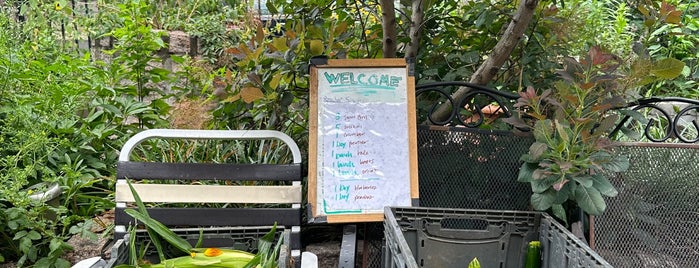 The Transit Garden is one of Carroll Gardens Date Night.