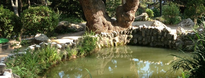 Форосский парк is one of Lugares favoritos de Lalita.