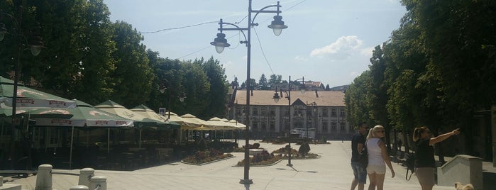 Aranđelovac is one of Mirnaさんのお気に入りスポット.