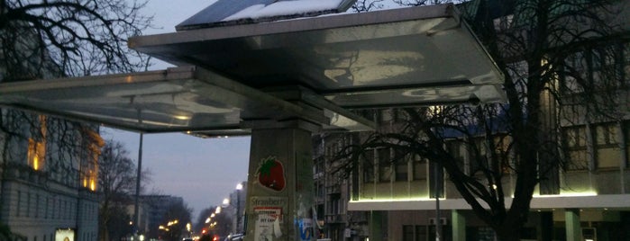 Strawberry Tree | Public Solar Charger For Mobile Devices is one of Belgrade.
