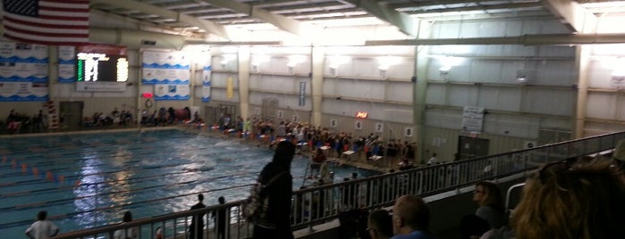 YMCA is one of Julie's things to do.