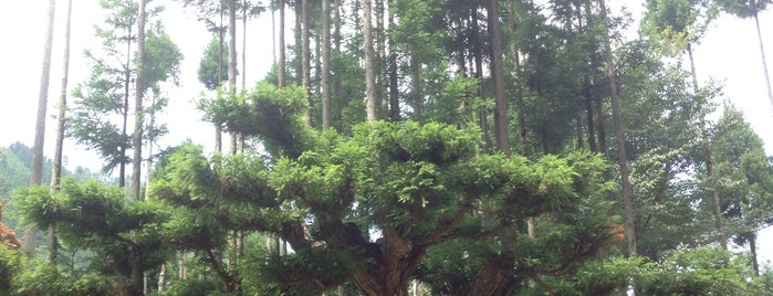 宗蓮寺 is one of 京都の訪問済スポット（マイナー）.