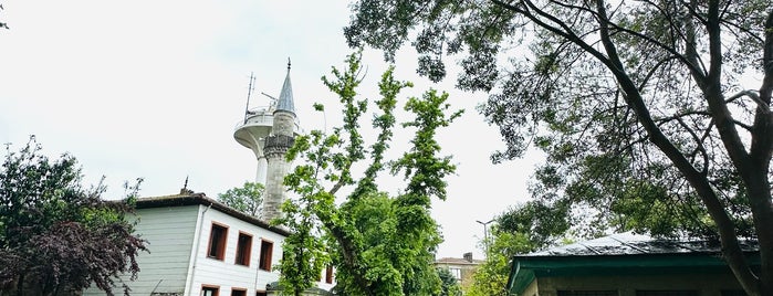Kanlıca is one of Aynur 님이 좋아한 장소.