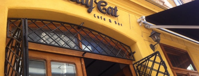 Cafe & Bar Smelly Cat is one of สถานที่ที่ Marek ถูกใจ.