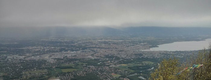 Saleve is one of Geneve.