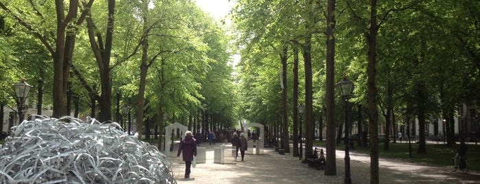 Lange Voorhout is one of Parks & Outdoors : Den Haag.