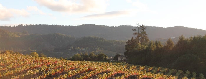 Sbragia Family Vineyards is one of Wine Country.