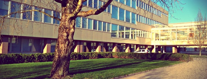 Natura is one of The Academic Buildings at the Campus.