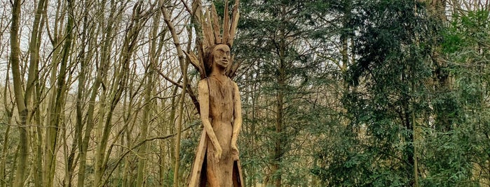 Narnia Walk is one of Surrey.