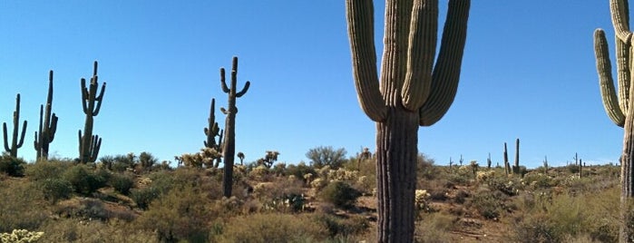 The Arizona Desert is one of Orte, die JàNay gefallen.