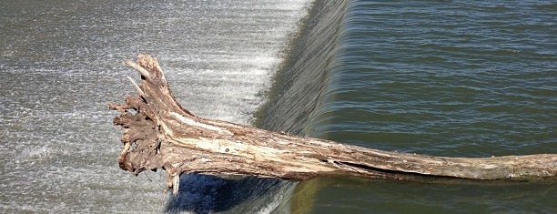 White Rock Lake Spillway is one of Lisa Pilato's Saved Places.