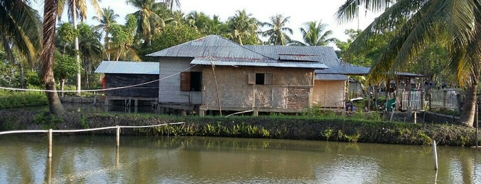 Usaha Pembibitan Ikan Mas is one of All venue's by me.