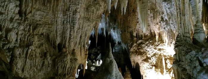 Aranui Caves is one of NZ.