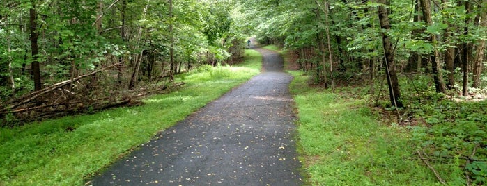 Chinn Park is one of parks/trails.