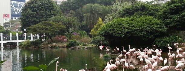 Kowloon Park is one of Always Gourmant... Comer em HONG KONG.