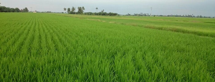 Bagan Sungai Nipah is one of Eda'nın Beğendiği Mekanlar.