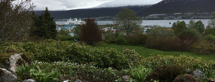 Botanisk hage is one of Lofoten.