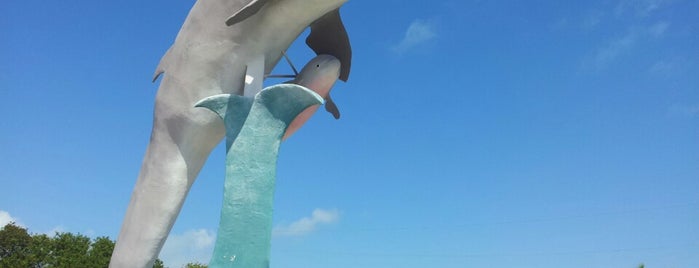 Dolphin Research Center is one of The Statue Got Me High.