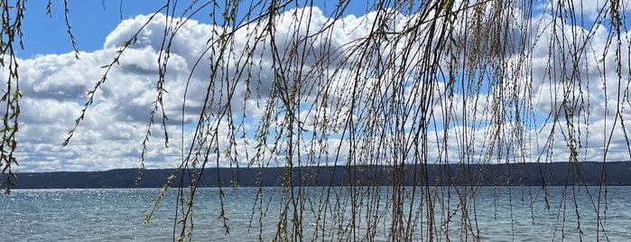 Cayuga Lake is one of Rochester, Syracuse.