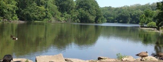 Van Cortlandt Park is one of Best Parks For Dogs In New York.