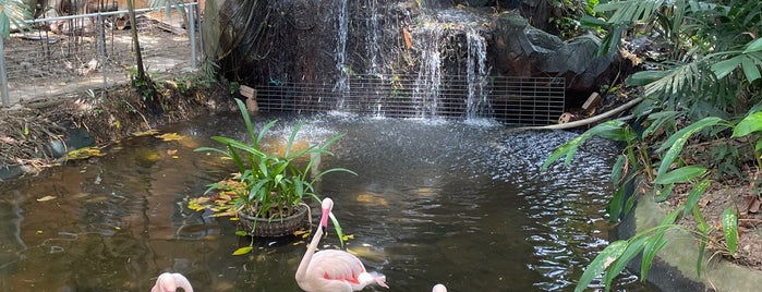 Best Mini Zoos & Aquarium in Langkawi
