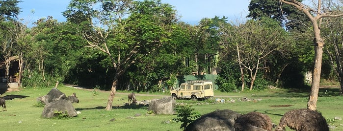 Mara River Safari Lodge Bali is one of Lugares favoritos de Lauren.