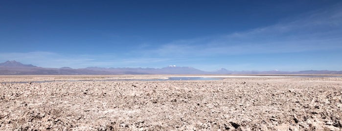 Salar de Atacama is one of Chile.