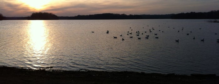 Loch Raven Reservoir is one of Bmore/DC.
