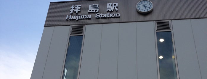 Haijima Station is one of 東日本・北日本の貨物取扱駅.