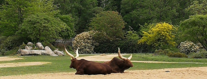 Jardin Zoologique de la Tête d'Or is one of Claudia : понравившиеся места.