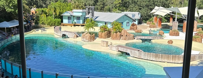 Dolphin Cove is one of Favorite Places.