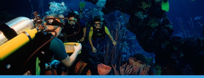 DiveQuest is one of Beyond the Parks & Tours.