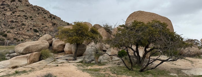 Rest Area at Texas Canyon is one of Explore.