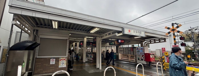 妙蓮寺駅 (TY17) is one of 東京急行電鉄（東急） Tokyu.