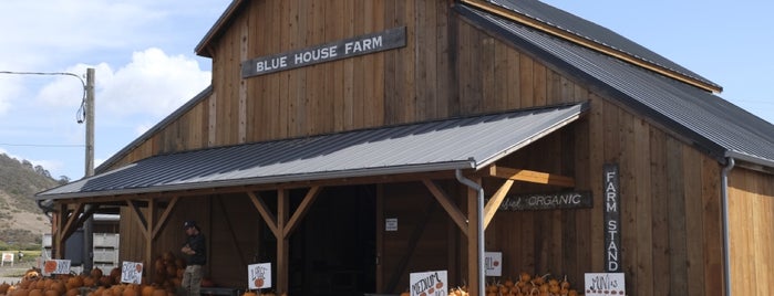 Blue House Farm is one of Rex'in Beğendiği Mekanlar.